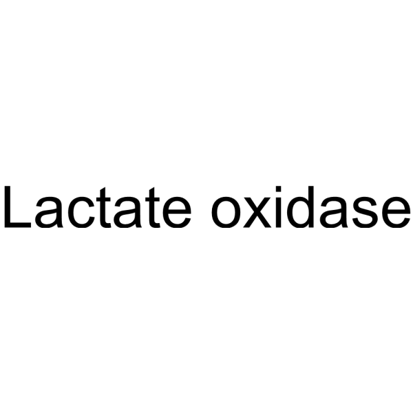Lactate oxidase 9028-72-2